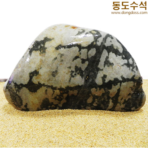 고목나무