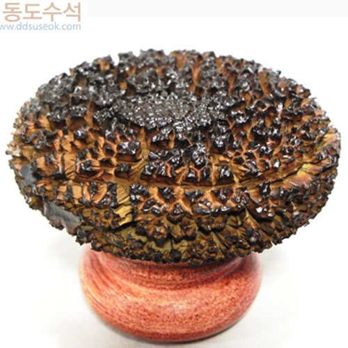 구갑석