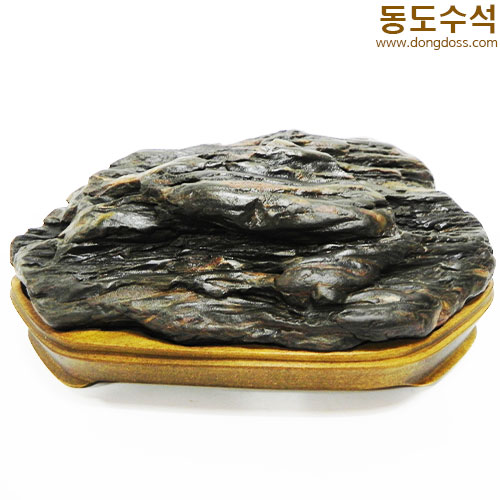 변화좋은쬬코