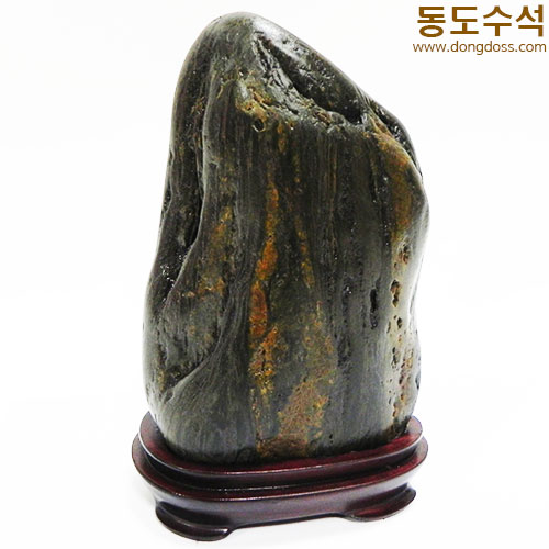 쬬코입석