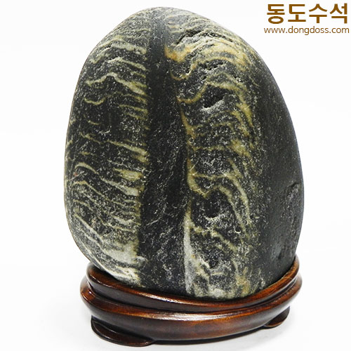 모세바다길(고목나무)