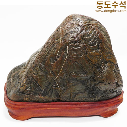 주름쬬코