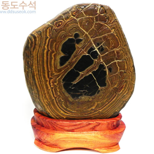 구갑석