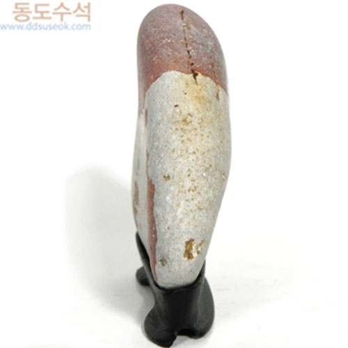 노인과아이