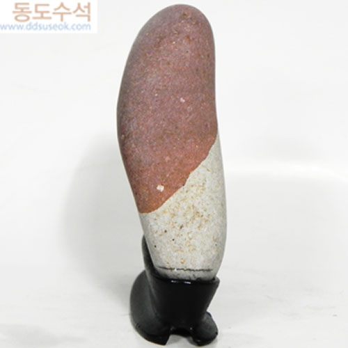 노인과아이