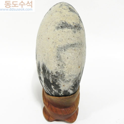 새싹수림(희망)