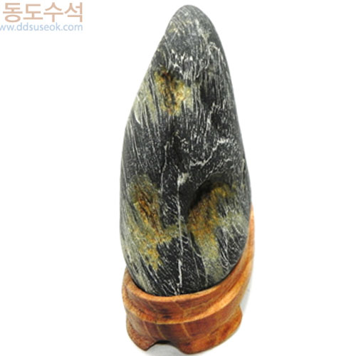 갈대숲