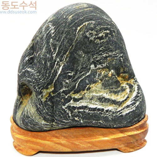 갈대숲