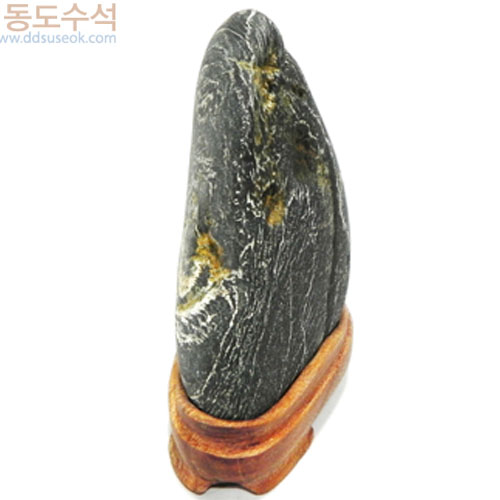 갈대숲