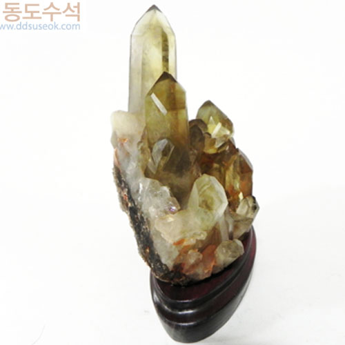 황수정