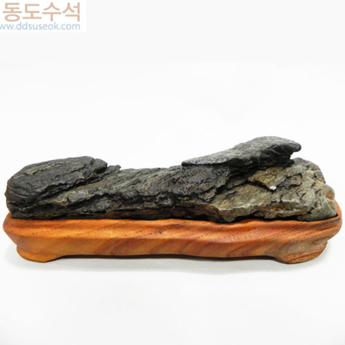 갯바위