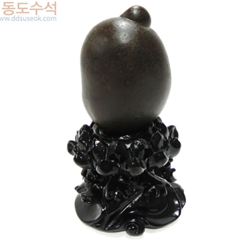 사유석