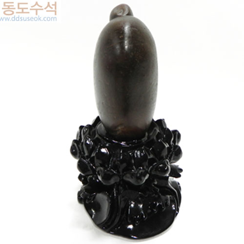 사유석