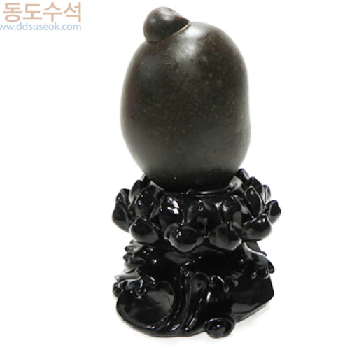 사유석