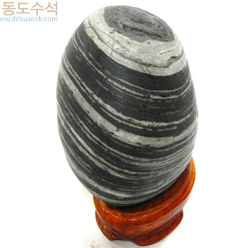 단지 행성