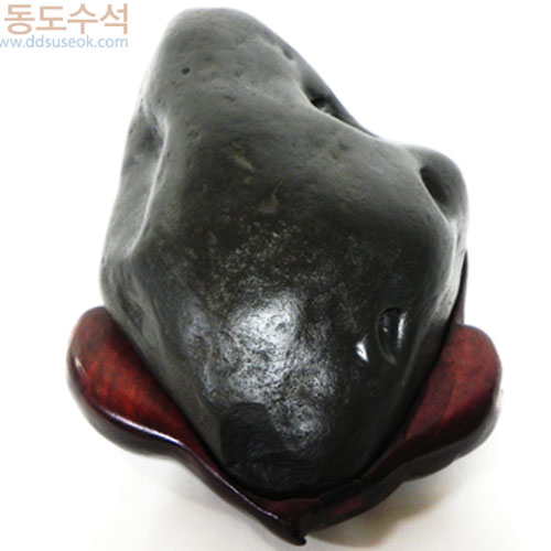 거북형상