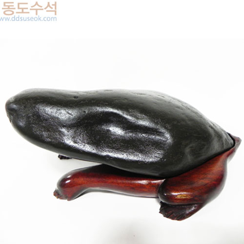 거북형상