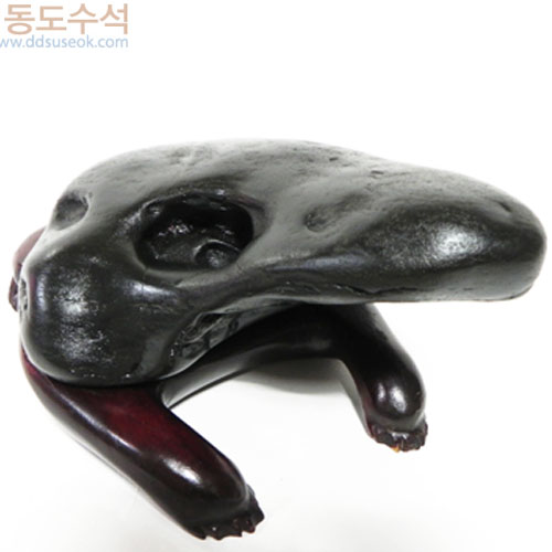 거북형상