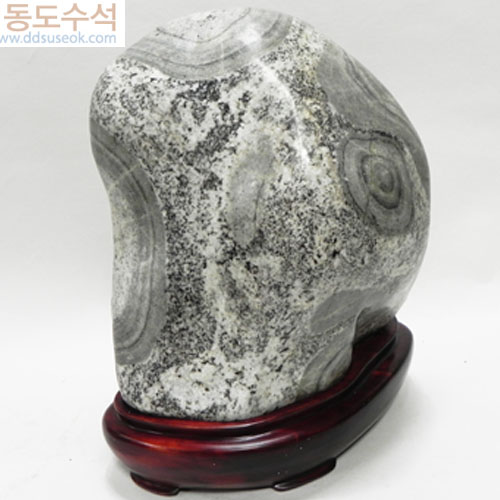 편모암