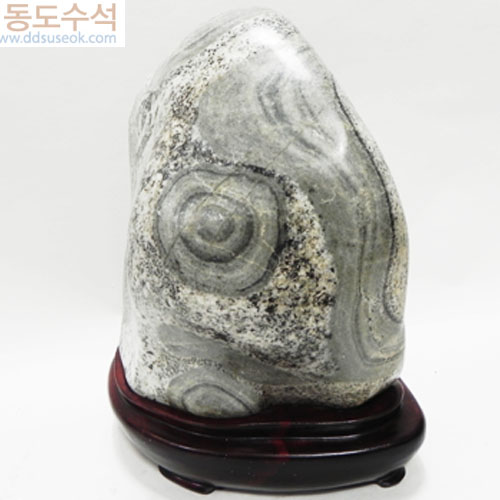 편모암