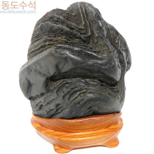 주름쬬코바위