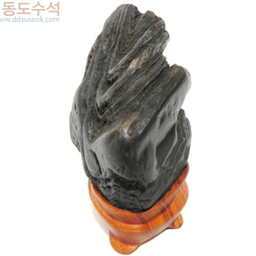 주름쬬코바위