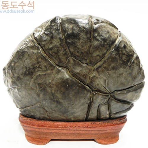 구갑석