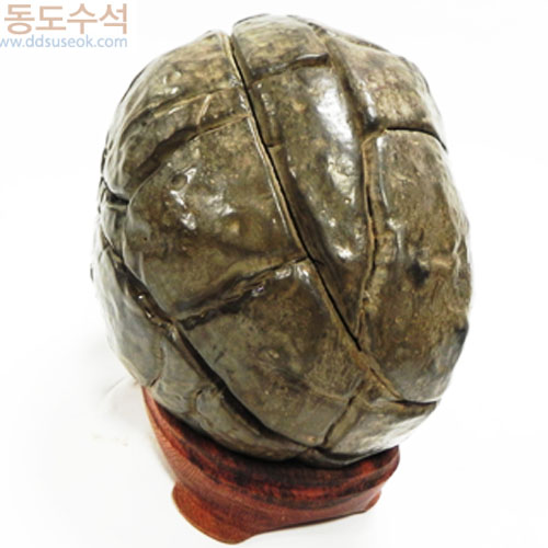 구갑석