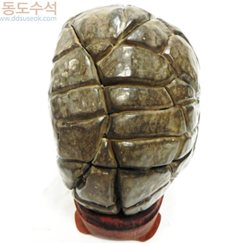 구갑석
