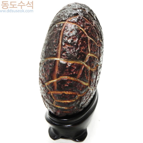 구갑석