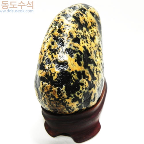 개나리동산(황칼라)