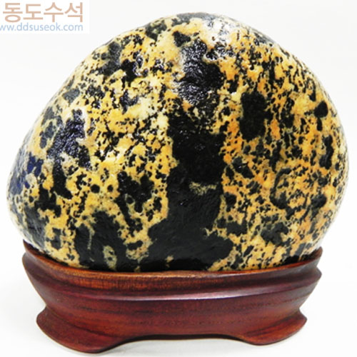 개나리동산(황칼라)