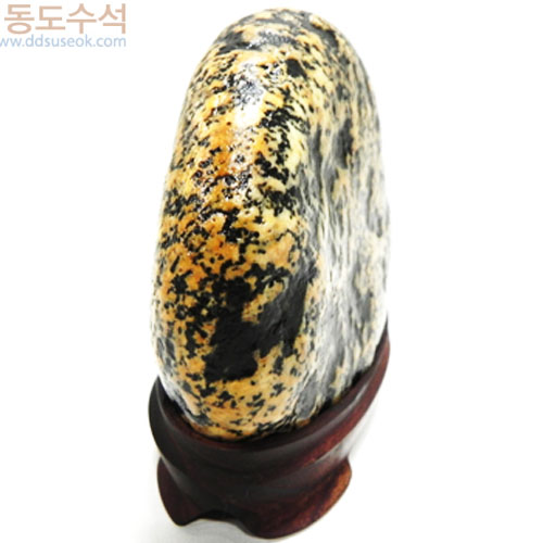 개나리동산(황칼라)
