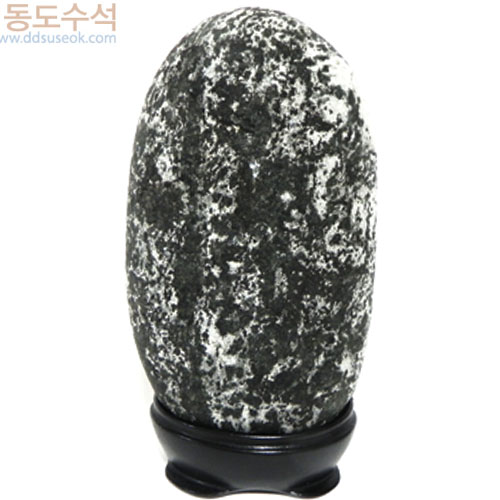 겨울나무