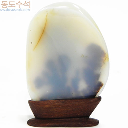 언덕위에나무