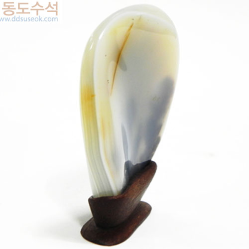 언덕위에나무
