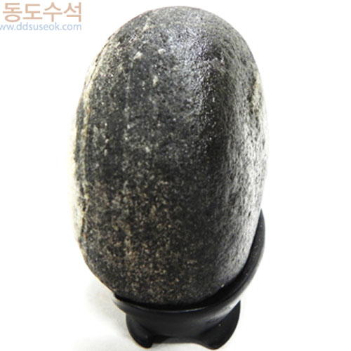 가족