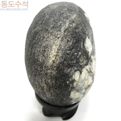 가족