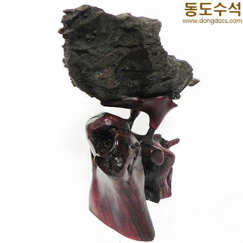 길조새