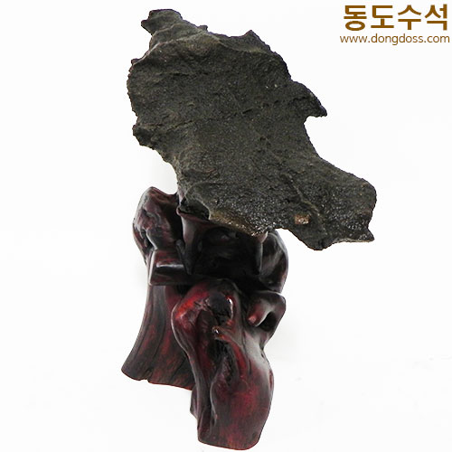 길조새
