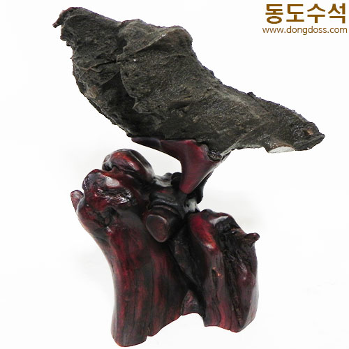 길조새