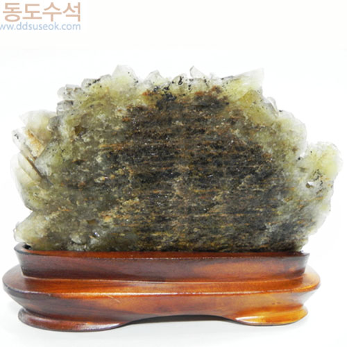 황수정