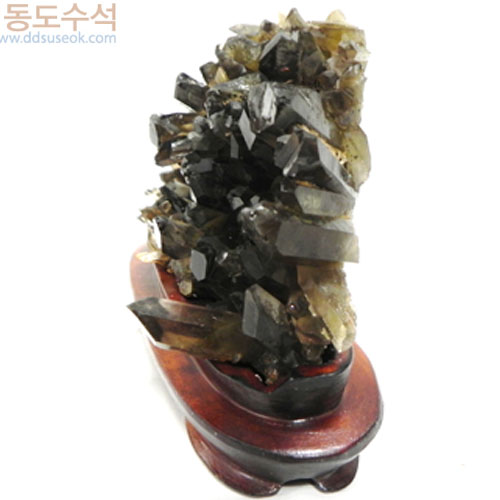 황수정
