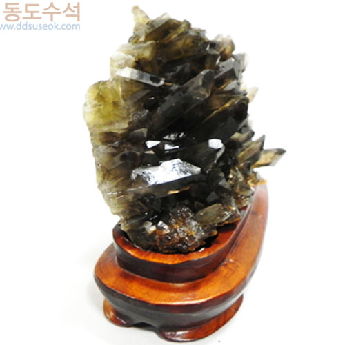 황수정