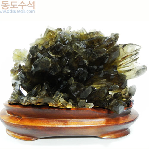 황수정