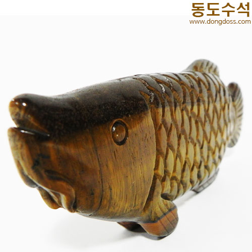 황금잉어(호안석)