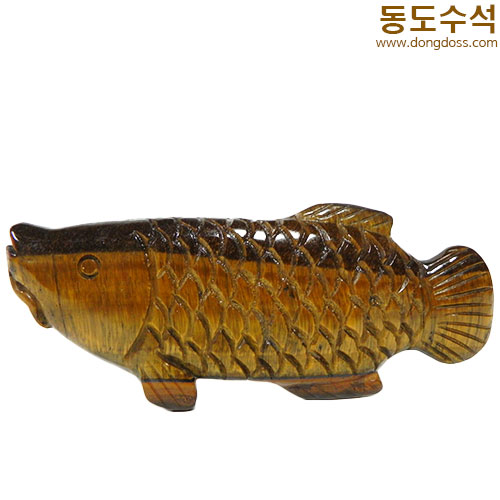 황금잉어(호안석)