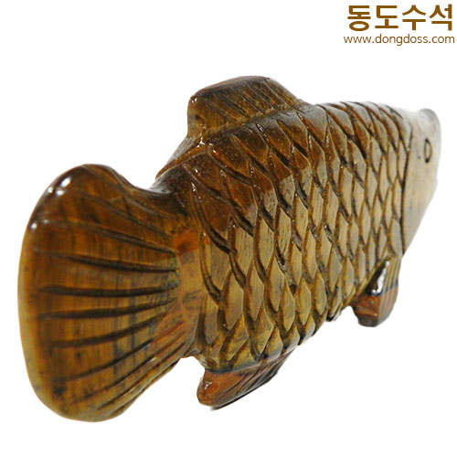 황금잉어(호안석)