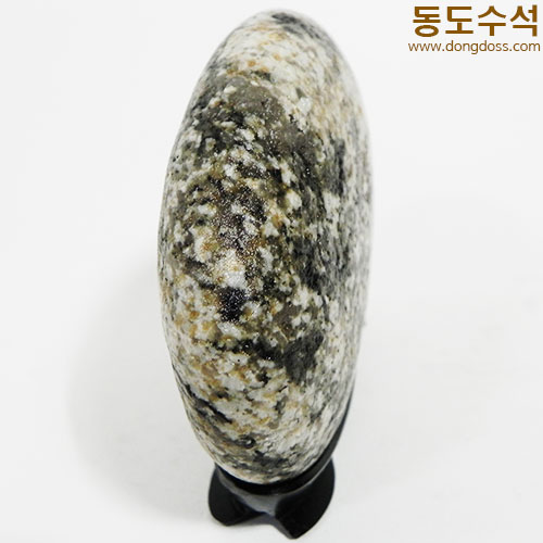 수림동산