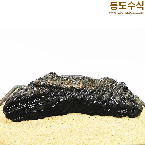 갯바위경